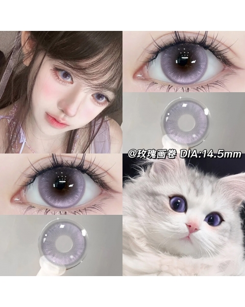 OVOLOOK 瑰麗畫卷