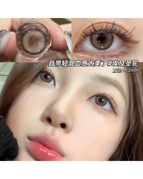 OVOLOOK 埃及聖駝