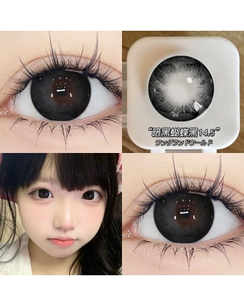 OVOLOOK 暗黑蝴蝶黑