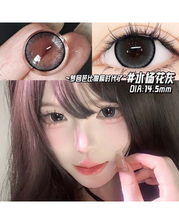 OVOLOOK 水楊花灰