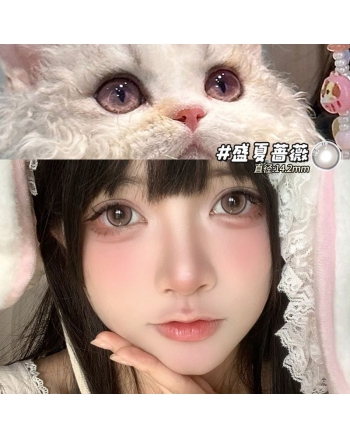 OVOLOOK 盛夏薔薇