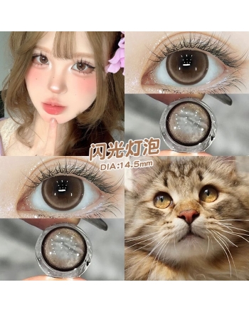 OVOLOOK 閃光燈泡