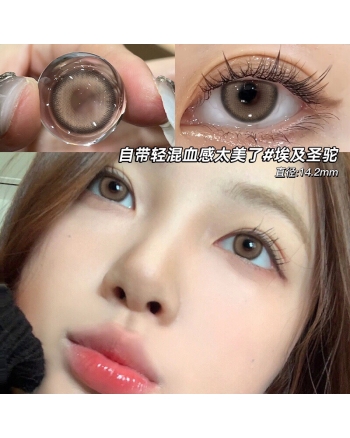 OVOLOOK 埃及聖駝