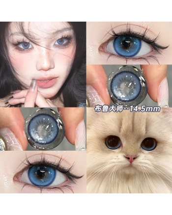 OVOLOOK 布魯大師
