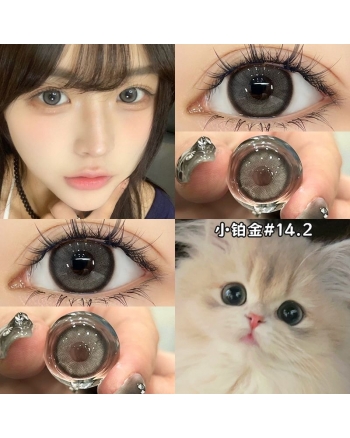 OVOLOOK 小鉑金
