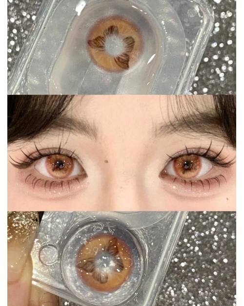 QUEEN EFFIE 晨迹海蝶