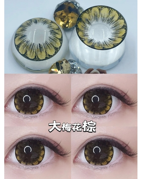 QUEEN EFFIE 大梅花棕