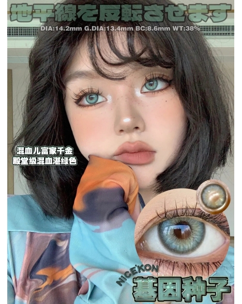 QUEEN EFFIE 基因種子