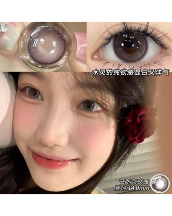 OVOLOOK 巴斯克玫瑰