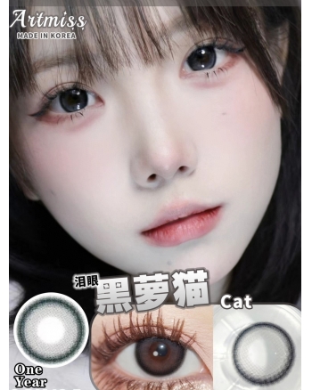 Artmiss 黑蘿貓