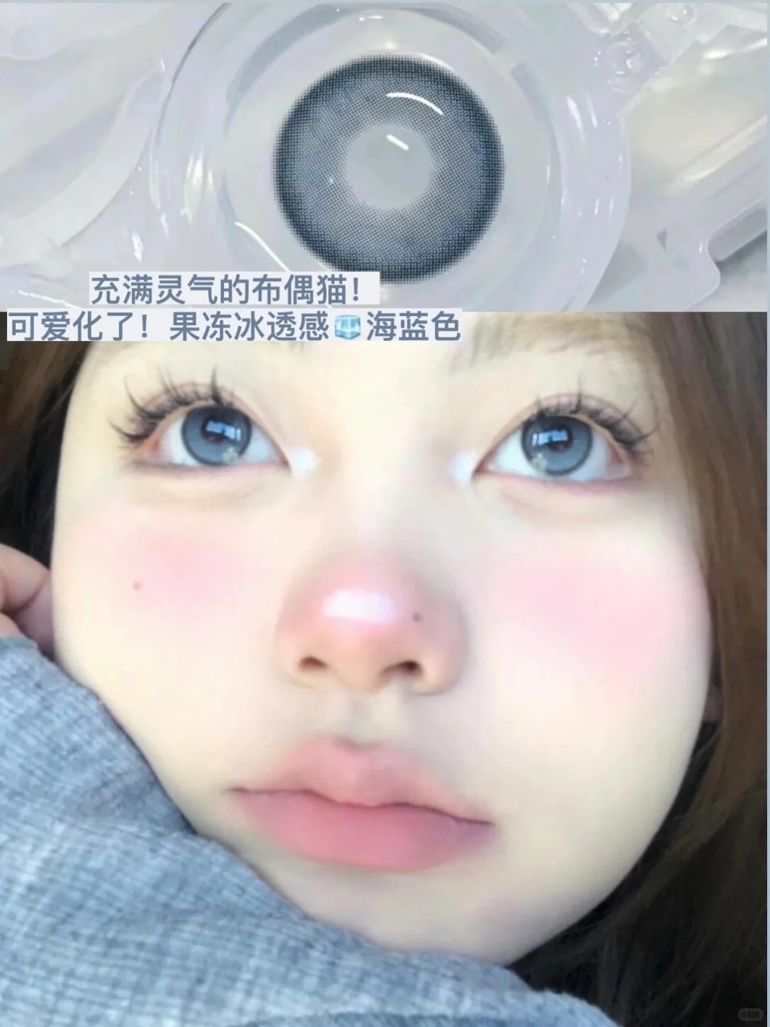 永远对蓝色????着迷～把可爱的布偶猫领回家！_1_陌陌美瞳_来自小红书网页版.jpg